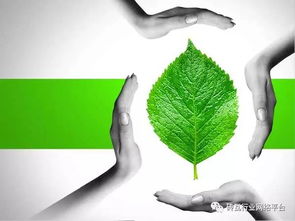 必看 實(shí)現(xiàn)磚廠企業(yè)達(dá)標(biāo)排放 金瑞特環(huán)保科技