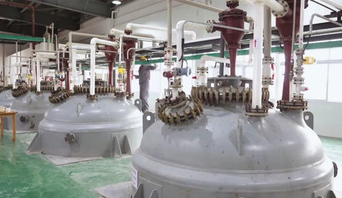 枝江環(huán)?？萍?打造一流營商環(huán)境，鑄就綠色發(fā)展品牌